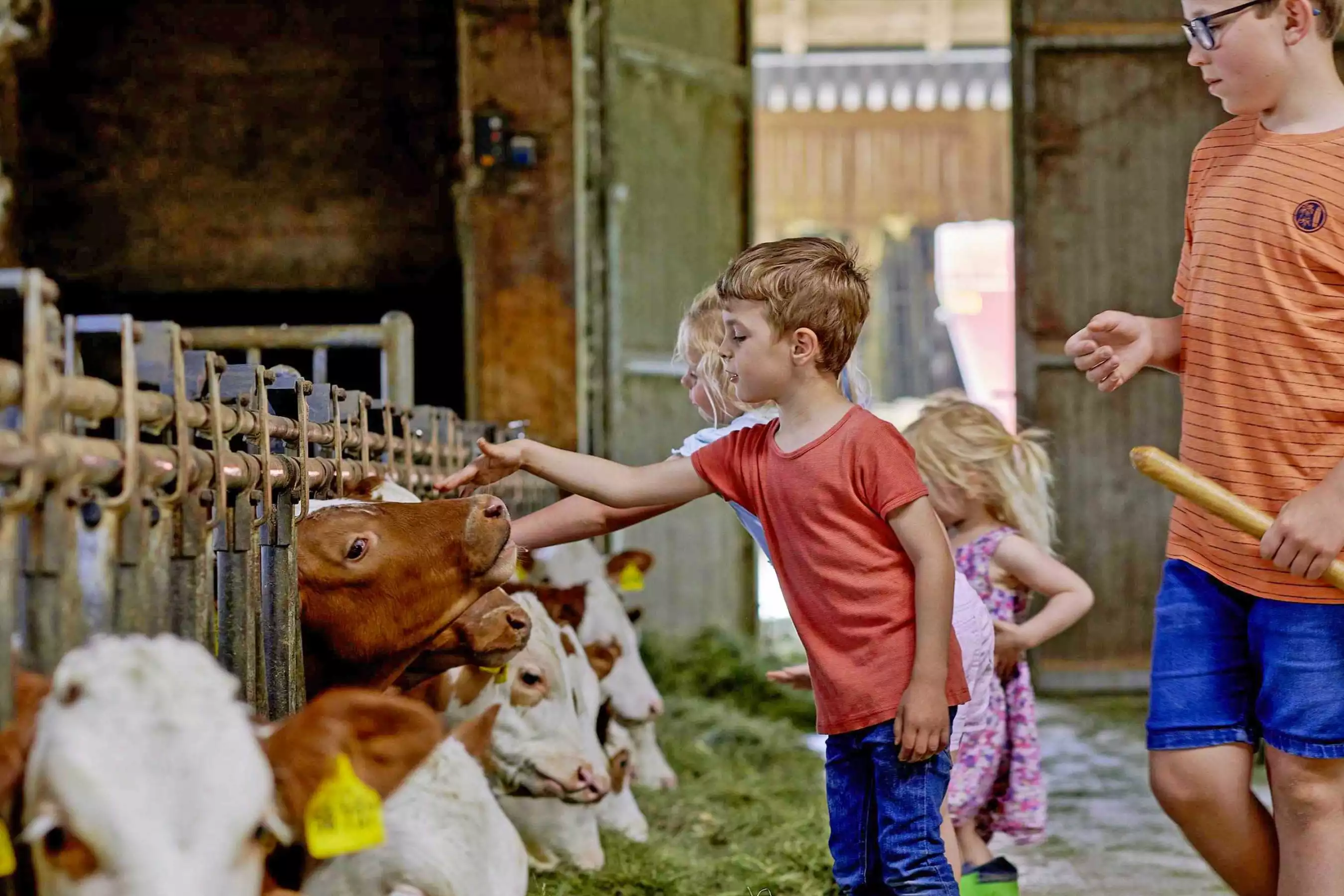 Kinderparadies unvergessliche Erinnerungen Traktorfahrten Melken Tiere versorgen