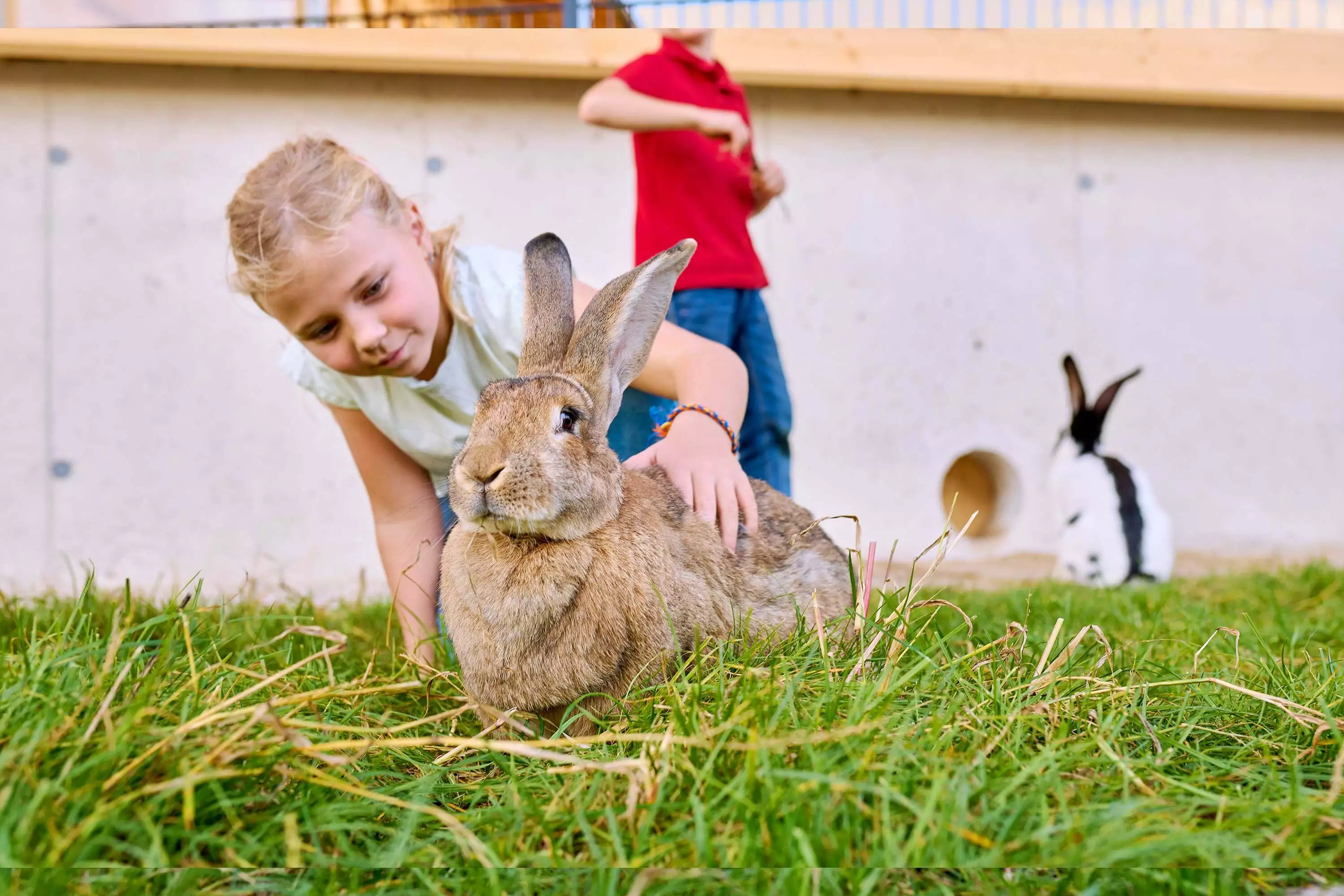 Kleintierstall am Kirchmaier Urlaubshof direkt am Chiemsee