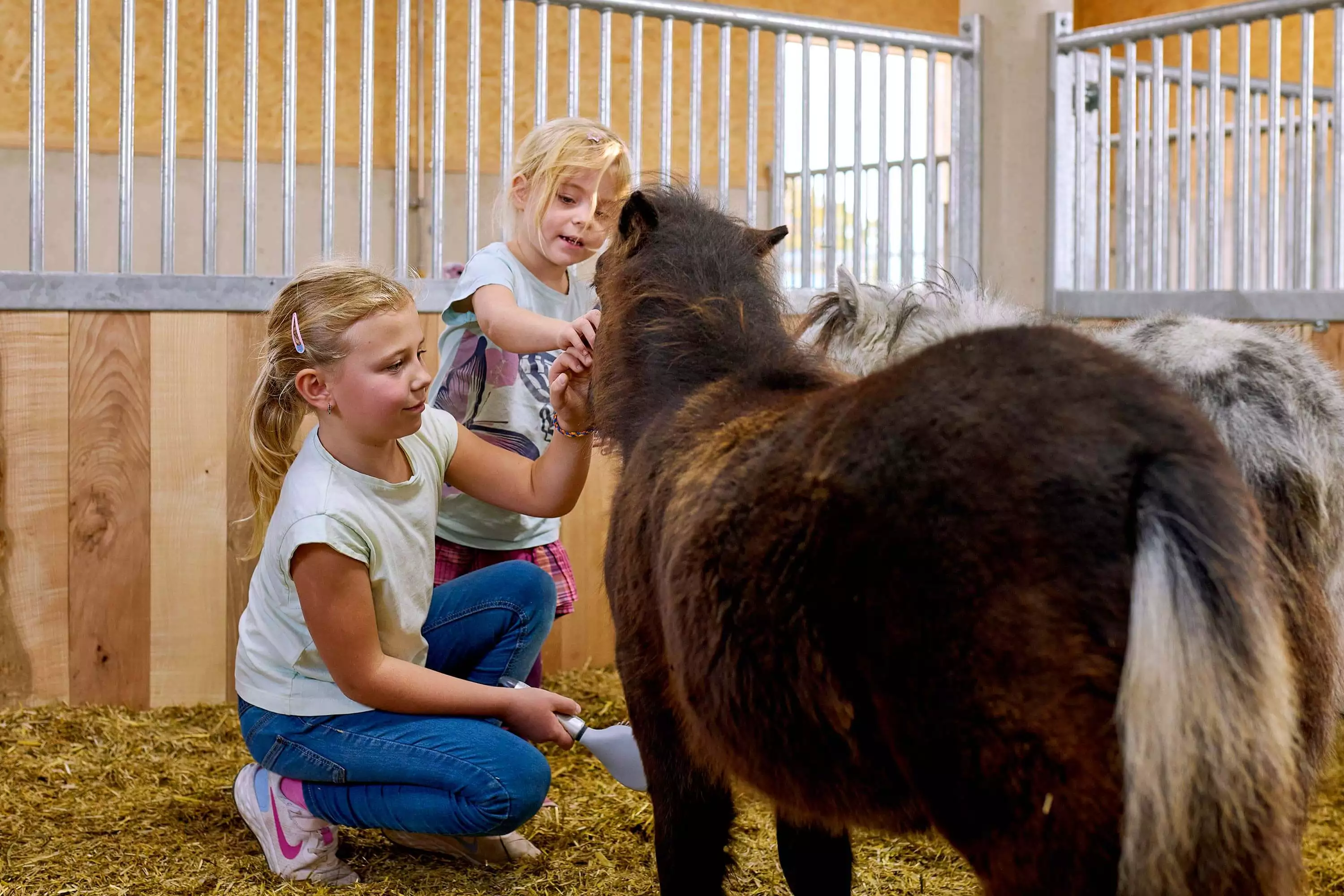 Umgang lernen bei der Arbeit mit den Tieren