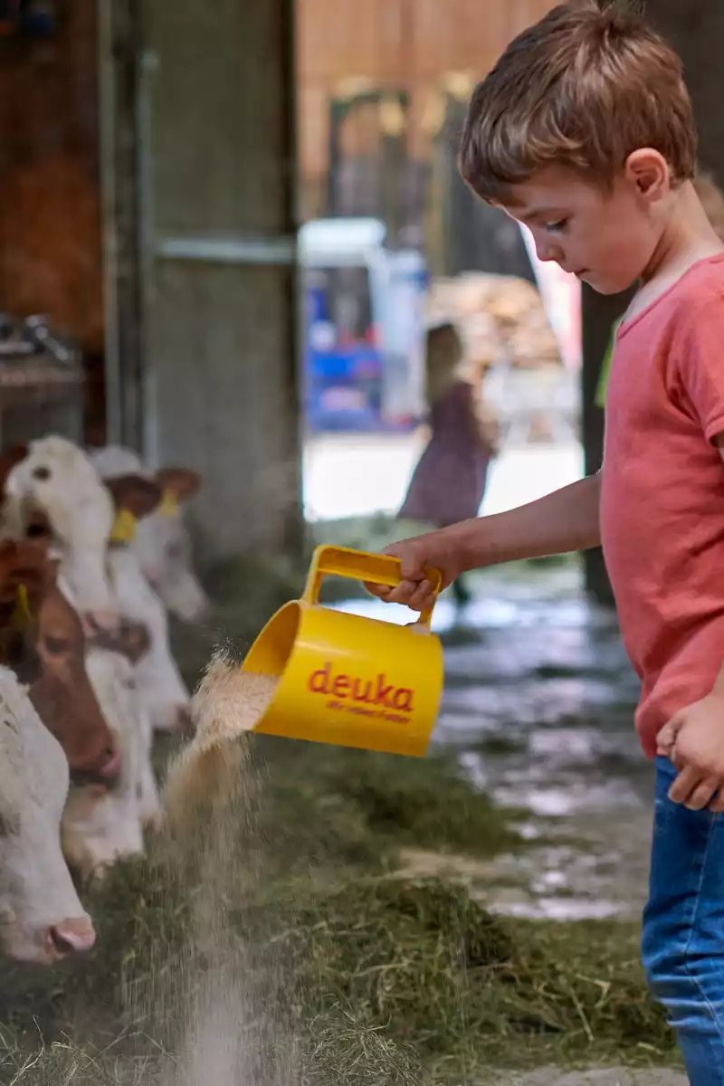 Stallarbeit Leben auf dem Bauernhof Melkroboter Kühe Kälbchen versorgen
