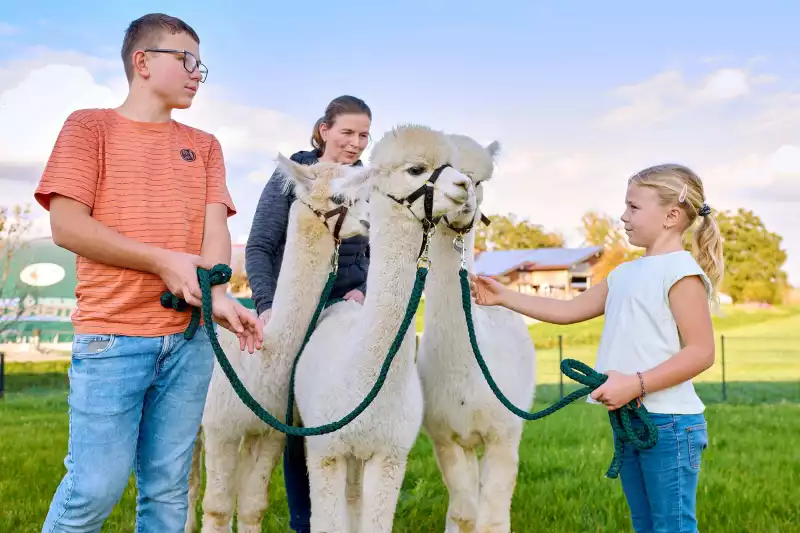 Ferienwohnungen direkt am Chiemsee