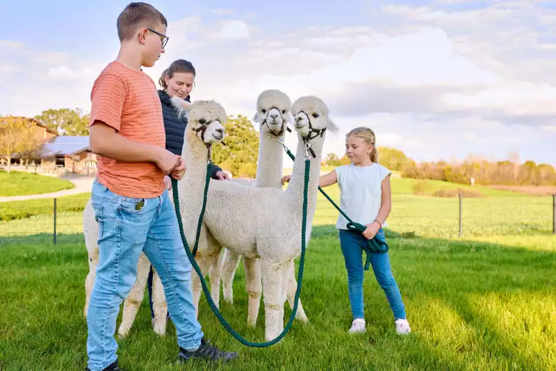 Ferienwohnungen direkt am Chiemsee