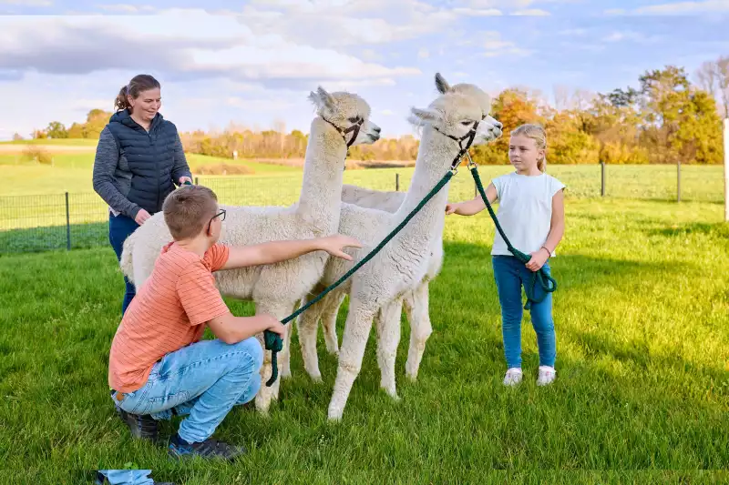 Ferienwohnungen direkt am Chiemsee