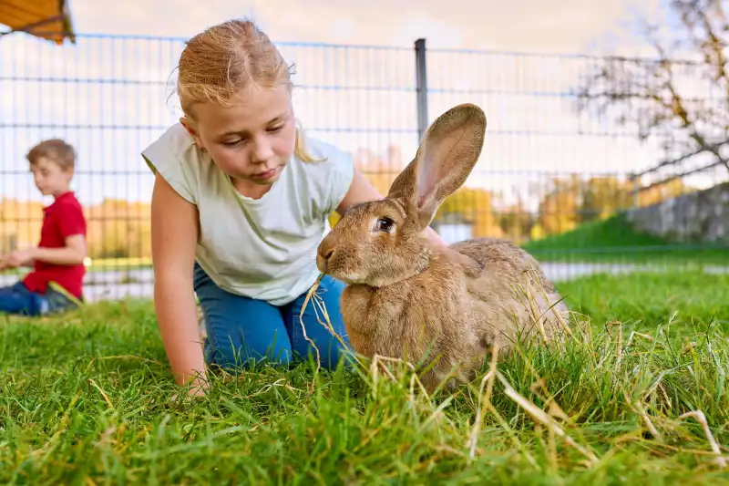 Ferienwohnungen direkt am Chiemsee