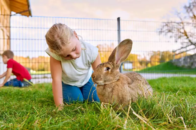 Ferienwohnungen direkt am Chiemsee