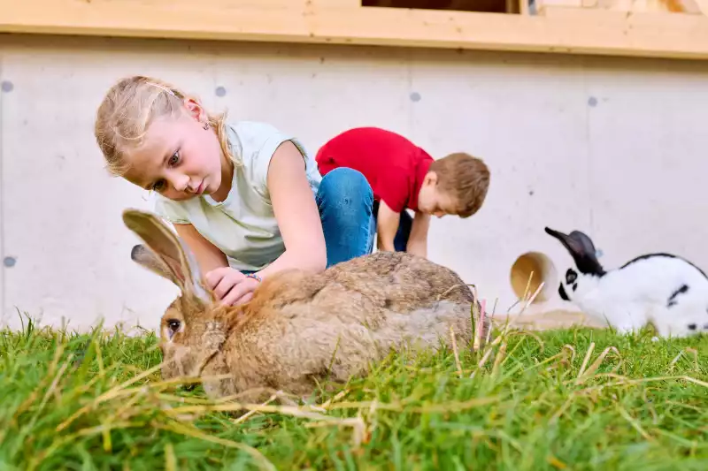 Neue Tierfreundschaften schließen im Urlaub am Chiemsee in Oberbayern