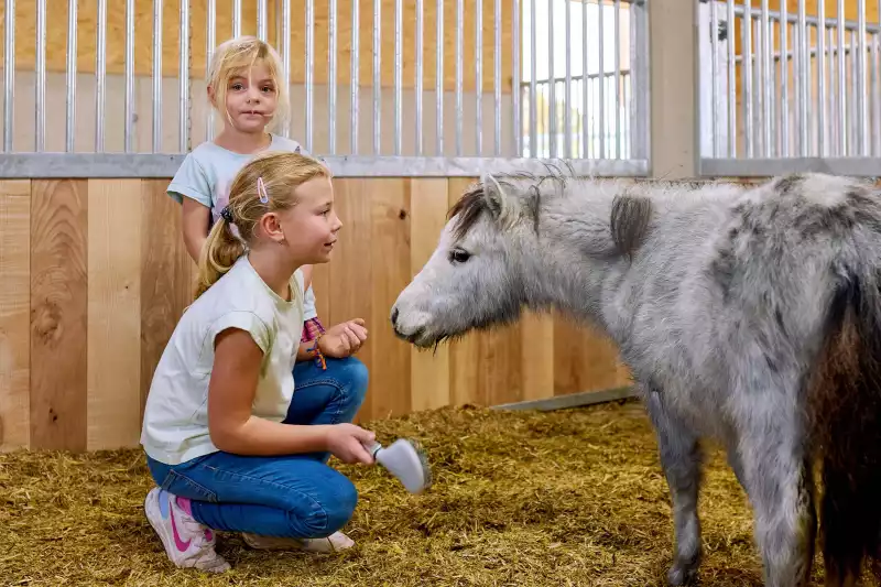 Ferienwohnungen direkt am Chiemsee