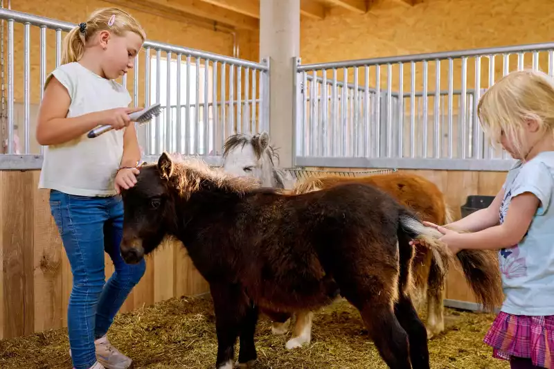 Pferdeliebhaber und Pferdenarren können striegeln, streicheln und füttern im Ponystall