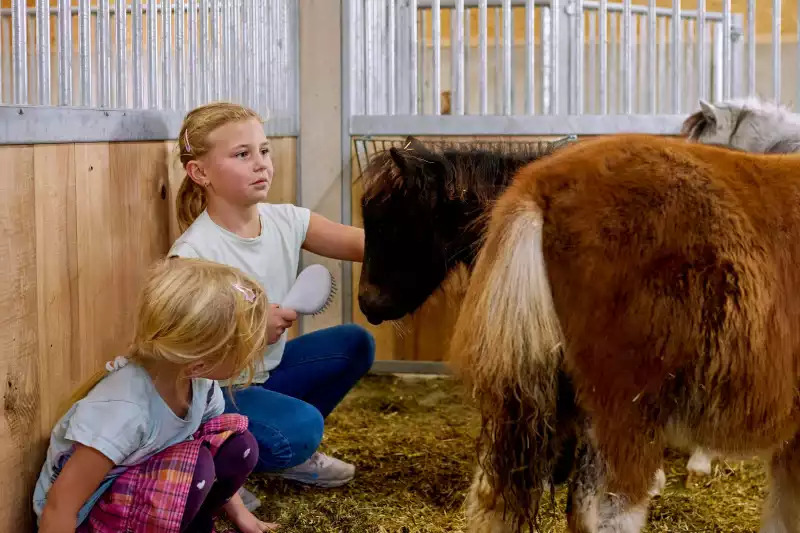 Ferienwohnungen direkt am Chiemsee