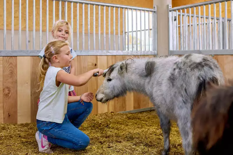 Ferienwohnungen direkt am Chiemsee