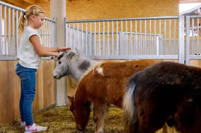 Ferienwohnungen direkt am Chiemsee
