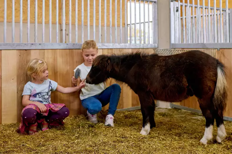 Ferienwohnungen direkt am Chiemsee