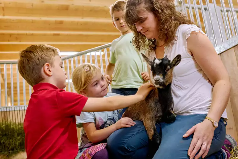 Ferienwohnungen direkt am Chiemsee