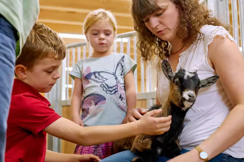 Ferienwohnungen direkt am Chiemsee