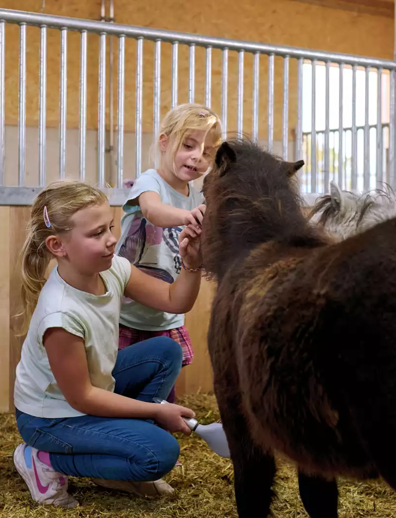 Echte Tierfreundschaften schließen im Urlaub am Kirchmaier Ferienhof