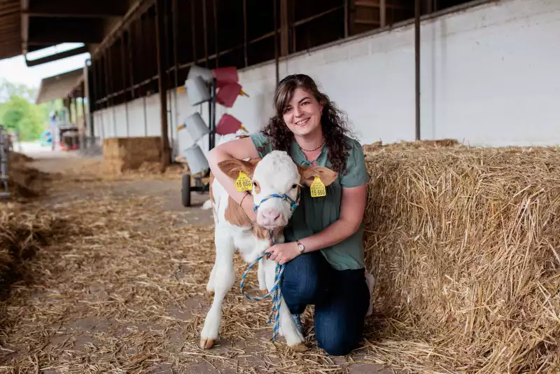 Ferienwohnungen direkt am Chiemsee
